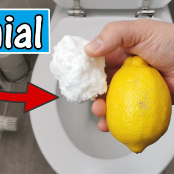 Tipps zur Vermeidung von unangenehmen Gerüchen in der Toilette