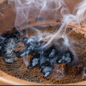 ☕🦟 Mit Kaffeesatz Mücken vertreiben: So funktioniert es!