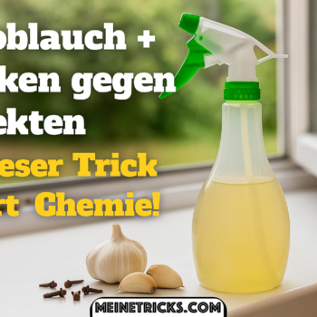 <strong>Tiefenwirksamer und nachhaltiger Insektenschutz: Knoblauch und Nelken als wissenschaftlich fundiertes Hausmittel</strong>