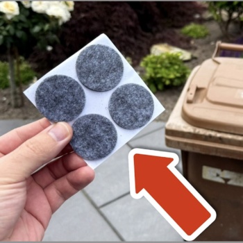 🚮 Fliegen-Alarm im Sommer? Mit diesem genialen Trick bleibt dein Mülleimer frisch & hygienisch! ✨