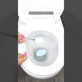 Der «Hotel-Trick»: So wird deine Toilette blitzblank und riecht immer frisch 🚽✨