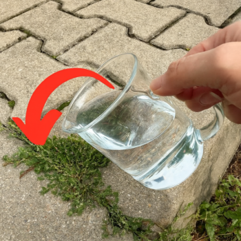 Töten Sie Unkraut mit diesem einfachen Hausmittel!