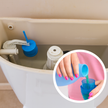 Legen Sie dies in Ihren Toilettenspülkasten: Der geheime Trick gegen schlechte Gerüche 🚽✨