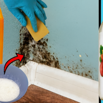 Schimmel in Silikonfugen einfach entfernen: Der geniale Hausmittel-Trick mit Backpulver und Essig! ⚡️