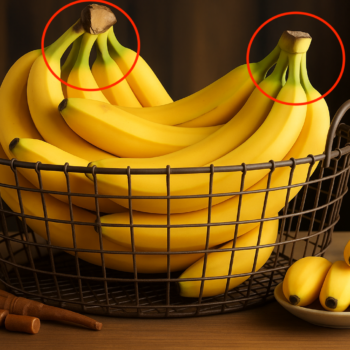 🍌 Warum du diesen Teil der Banane niemals wegwerfen solltest!