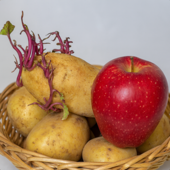 🍎 Nie wieder keimende Kartoffeln! Dieser 1-Zutaten-Trick stoppt das Auskeimen sofort 🥔💡
