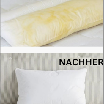 🧺 8 Geniale Hausmittel-Tricks für ein Sauberes Zuhause – Schimmel Entfernen, Kissen Reinigen & Insekten Vertreiben 🌿