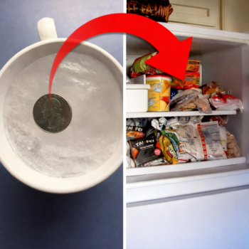 <strong>Warum sollte man vor dem Urlaub eine Münze ins Gefrierfach legen? 🪙❄️</strong>