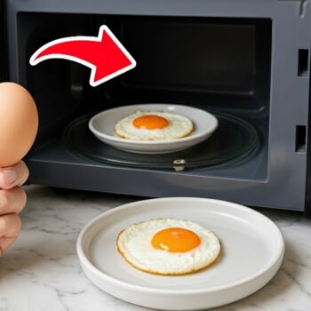 🍳 Eier aus der Mikrowelle: Der Geheim-Trick, der Ihre Küche revolutioniert – in unter 2 Minuten!